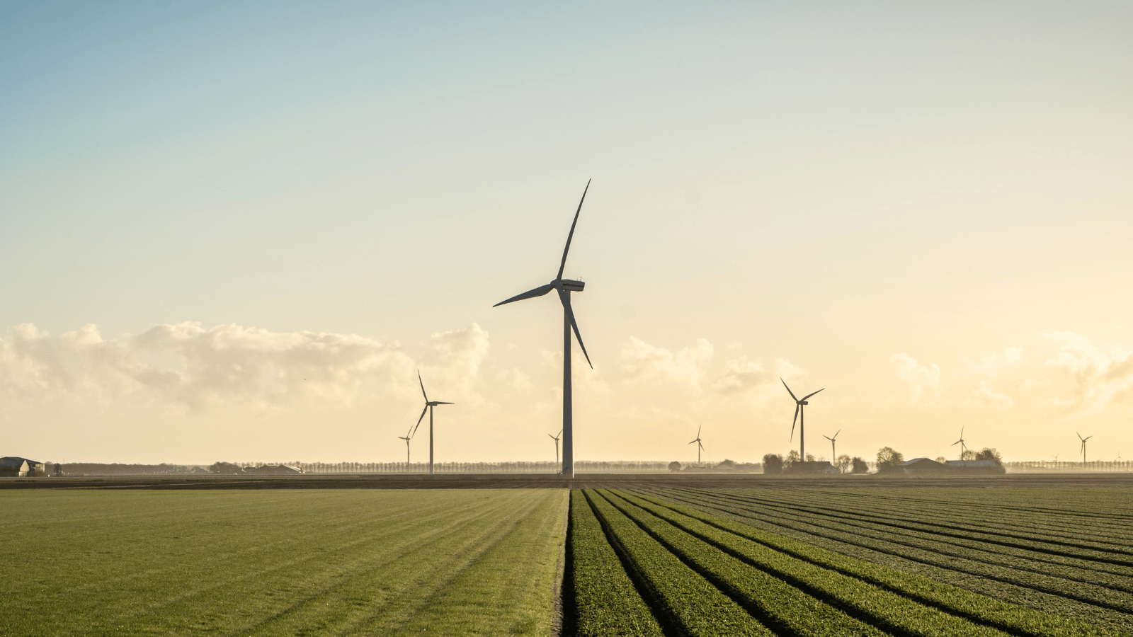 Website Dimensions (Top Header Image) (9)